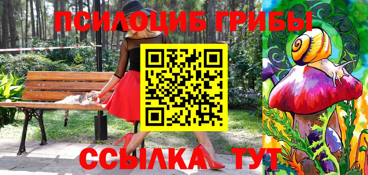 Галлюциногенные грибы MAGIC MUSHROOMS Саратов