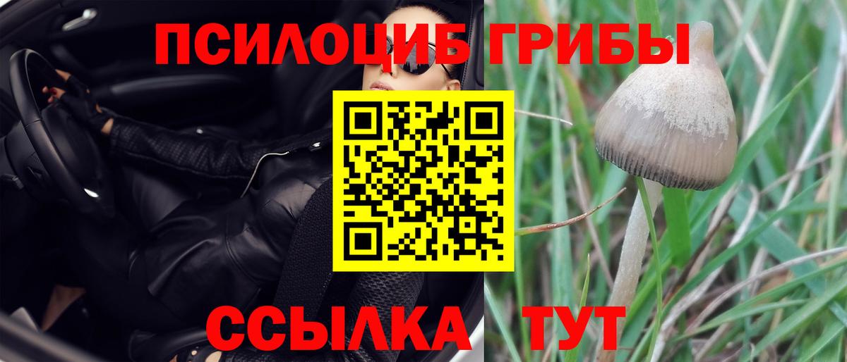 Галлюциногенные грибы Psilocybine cubensis  Псилоцибиновые грибы Psilocybe  Вход с VPN  Саратов 